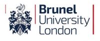 Brunel University - Logo